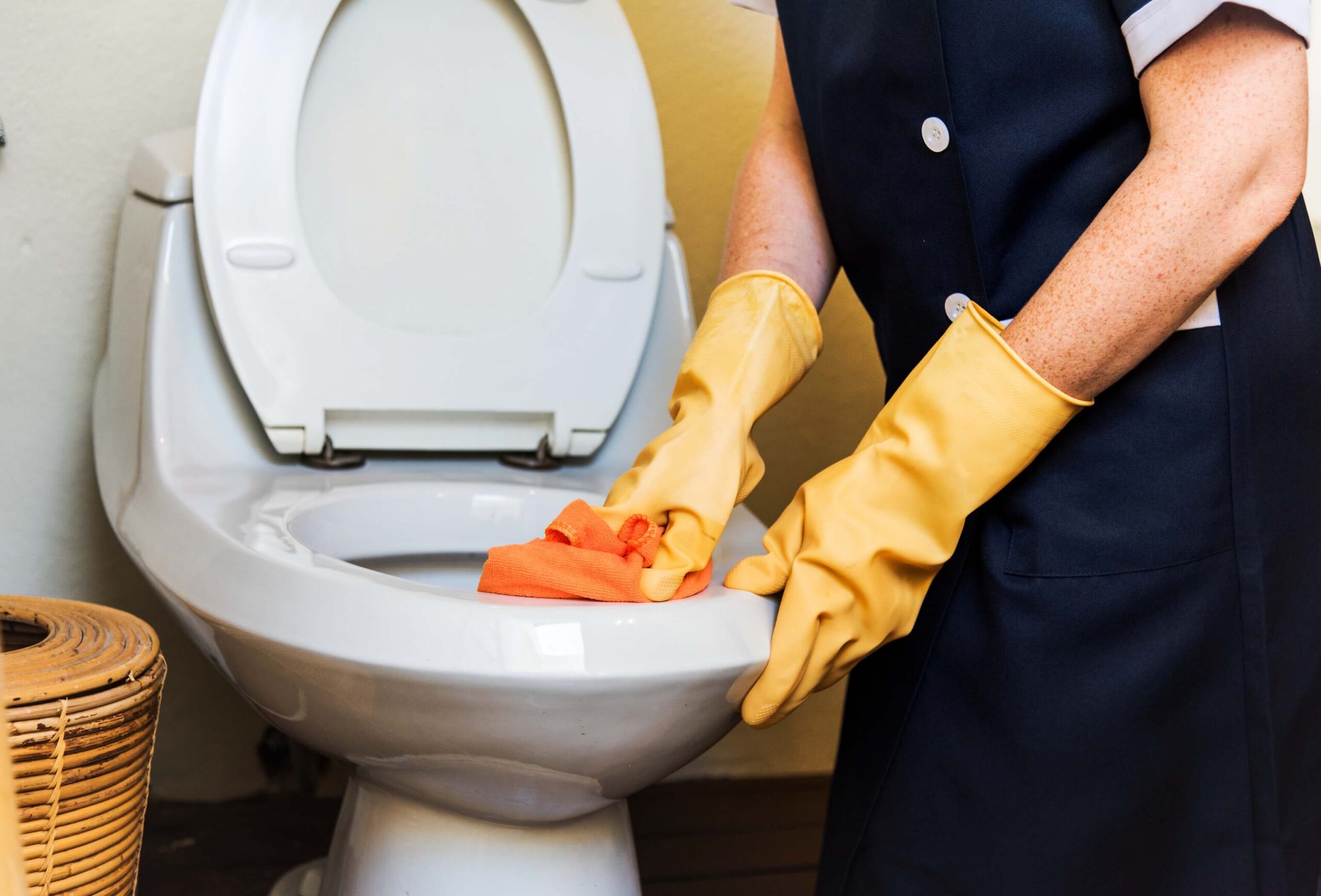 Pristine-Property-Solutions-Pueblo-Cleaning-Handyman-Construction15 Pristine Property Solutions Residential Cleaning Home Cleaner Commercial Cleaning Property Maintenance Handyman